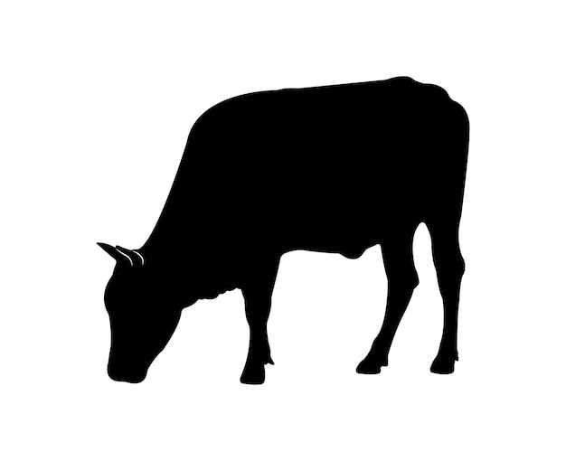 Vector cow silhouette isolated on white background