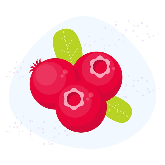 Vector cranberry icon Flat cartoon illustration