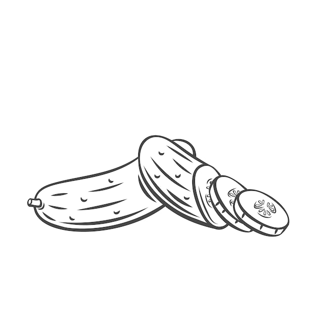 Vector cucumber. Farm vegetable outline icon, drawing monochrome illustration