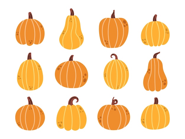 Vector cute pumpkin set Thanksgiving day decorative design Collection of yellow and orange pumpkins in flat design Autumn vegetables Fall pumpkin harvest