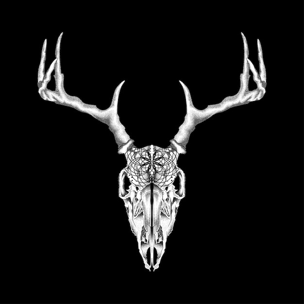 vector of dark deer skeleton