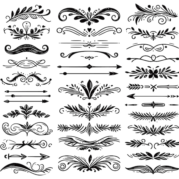 Vector decoration or flower collection