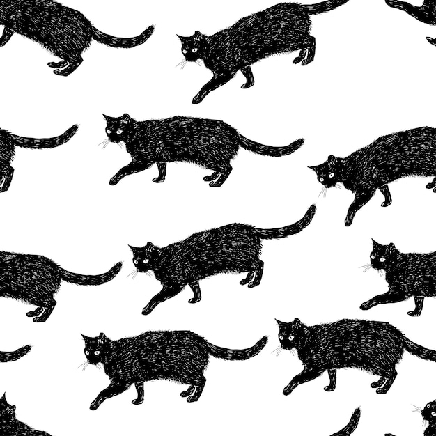 Vector decorative borders from sketches black domestic cats