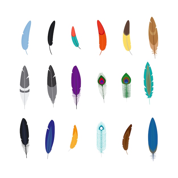 Vector decorative feathers set