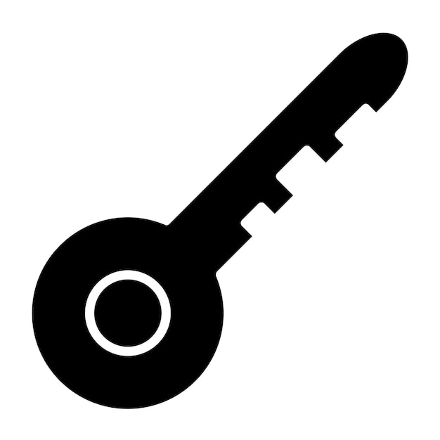 Vector Design Key Icon Style