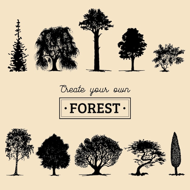 Vector different trees silhouettes Create your own forest Black woods icons set Grove constructor