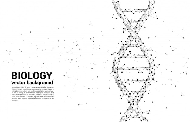 Vector DNA genetic structure from dot connect line polygon. background concept for biotechnology and biology scientific.