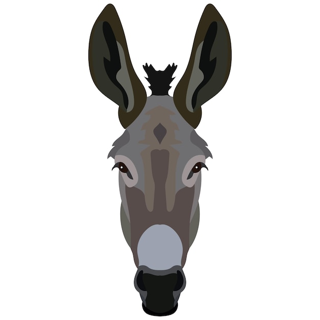 Vector donkey face isolated Poster banner print advertisement web design element Livestock cattle animals