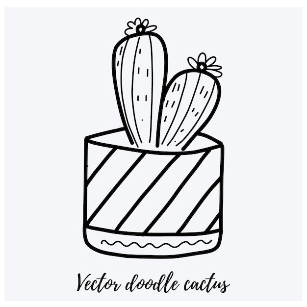 Vector vector doodle cactus illustration black line art house plant in a pot. for designs and backgrounds