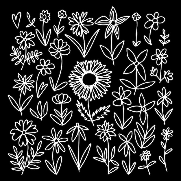 Vector vector doodle different kinds of flowers and herbs set big botanical wild flowers set