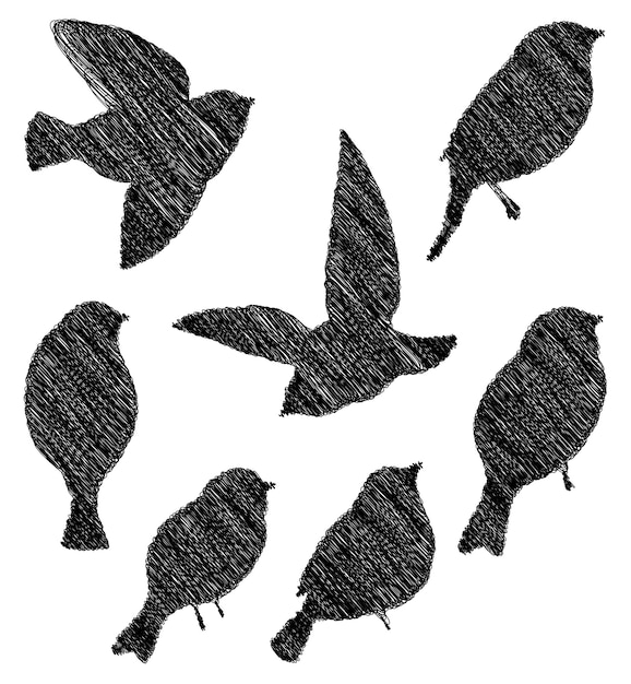 Vector doodle drawings of set silhouettes abstract birds