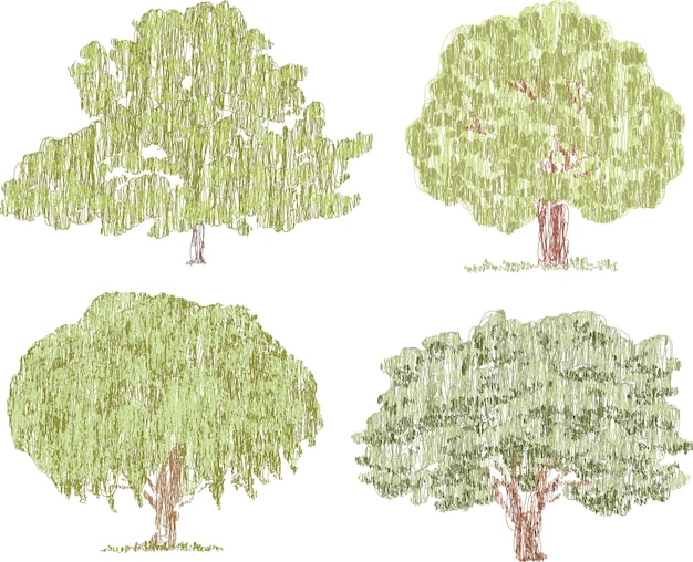 Vector vector doodle drawings of various deciduous trees in summer