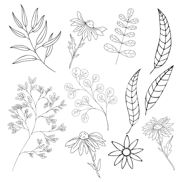 Vector doodle plants leaves flowers plants icon set