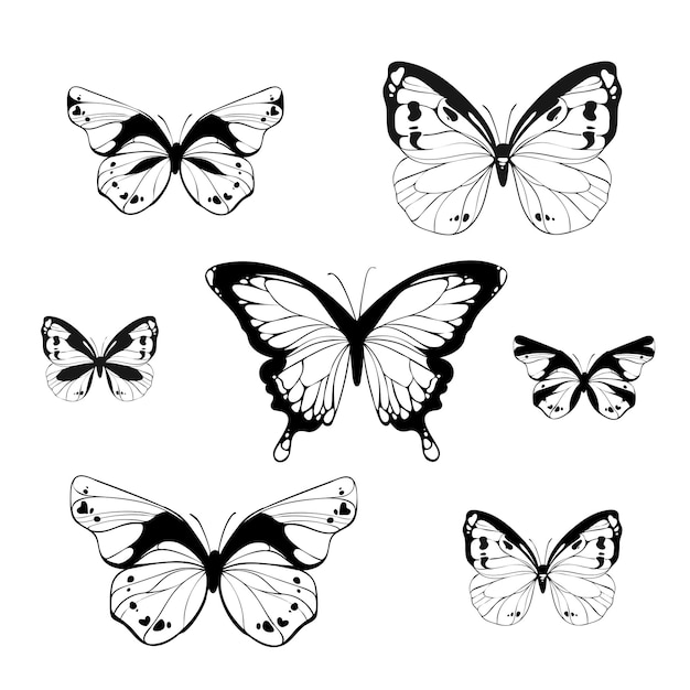 vector drawing of a beautiful butterfly
butterfly tattoo