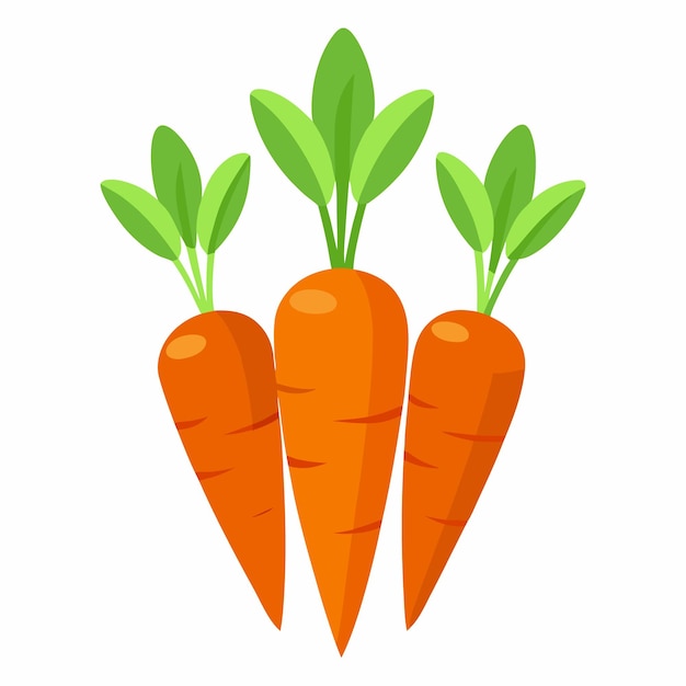 A vector drawing of a carrot with a green leaf on it