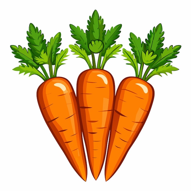 A vector drawing of a carrot with a green leaf on it