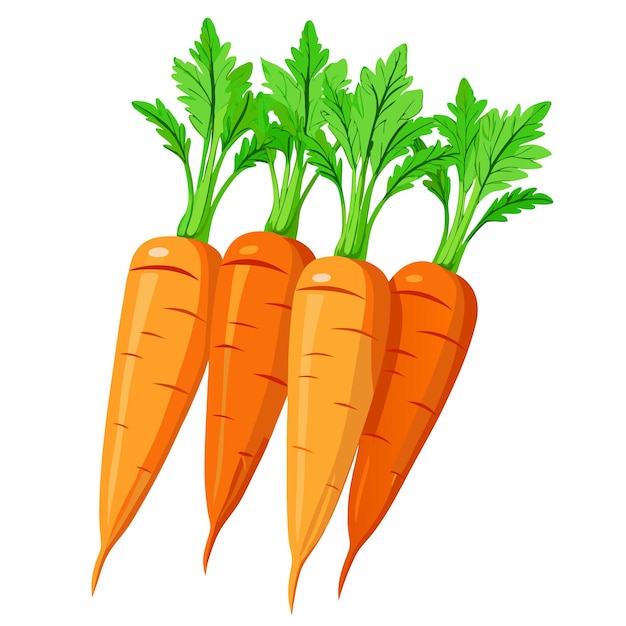 A vector drawing of a carrot with a green leaf on it