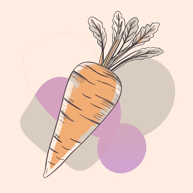 Vector a vector drawing of a carrot with a green leaf on it