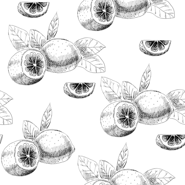 Vector drawing of fruits