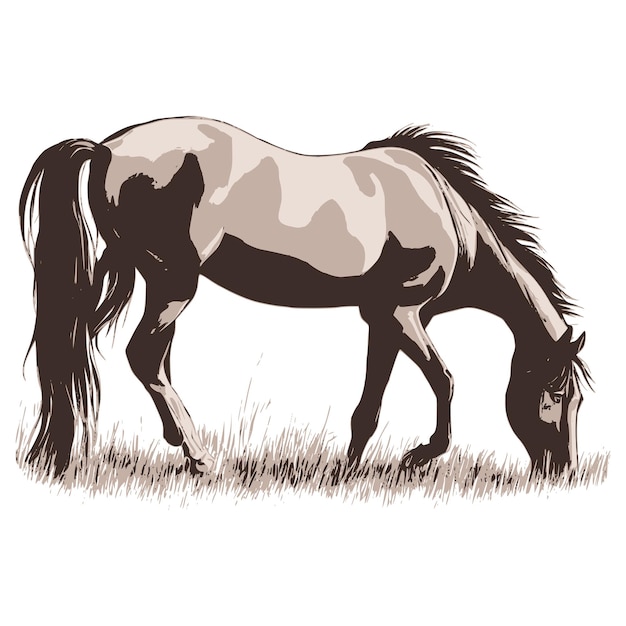 Vector drawing of a grazing horse pet rural