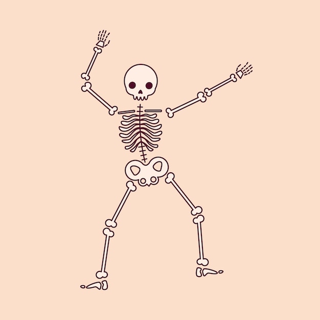 Vector drawing of a skeleton