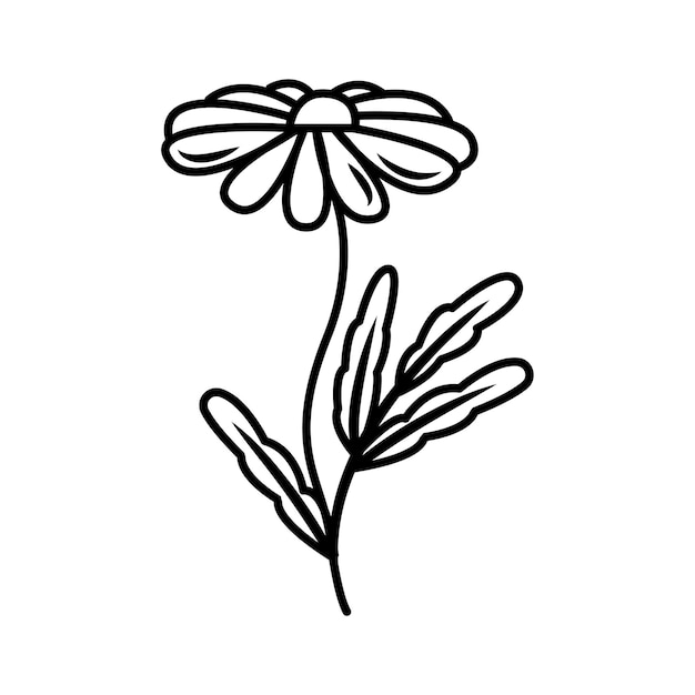 Vector drawing of a spring flower in the doodle style vintage flower template wedding