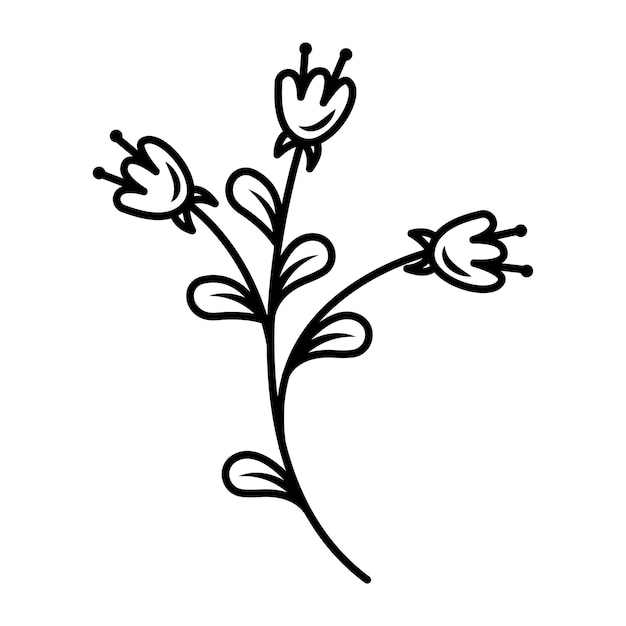 Vector drawing of a spring flower in the doodle style vintage flower template wedding