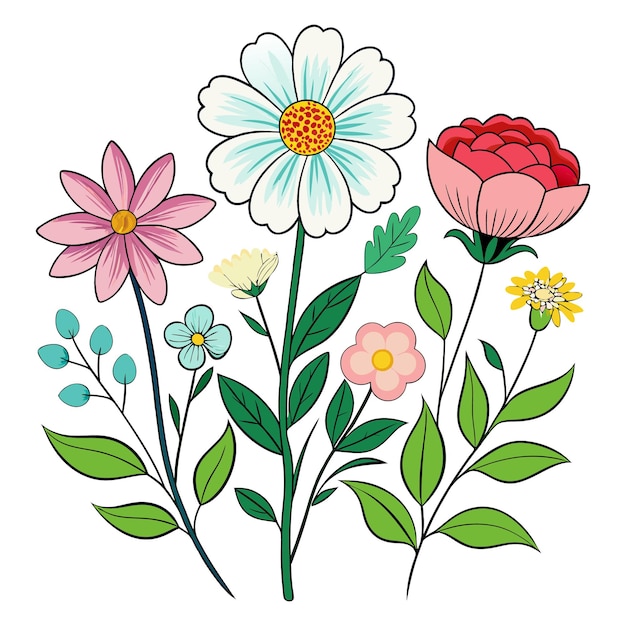 Vector vector drawing of a summer flower collection