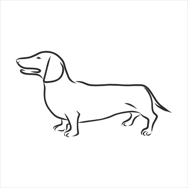 Vector vector drawings sketch drawn dachshund in ink by hand , objects with no background