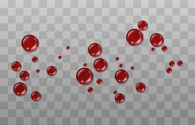 Vector drops of red blood drops Drops of blood red paint or blood on the surface Realistic drops