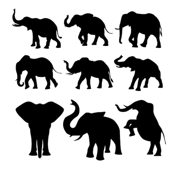 vector elephant logo silhouette collection