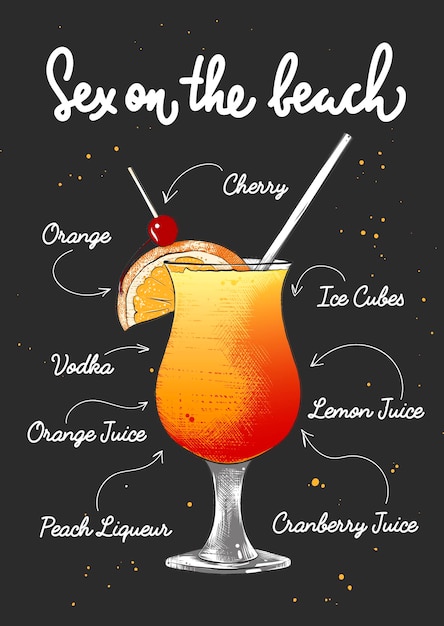 Vector engraved style Sex On The Beach cocktail Hand drawn sketch with lettering and recipe beverage