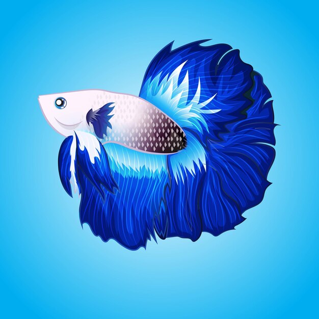 Vector vector exotic betta fish halfmoon white and blue tail artwork illustration isolated on water