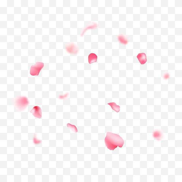 Vector vector falling pink sakura petals realistic illustration