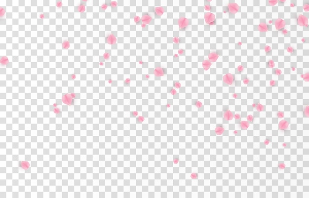 Vector falling rose petals png. Falling sakura petals, roses png. Pink petals png. Petals png.