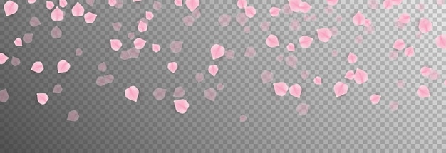 Vector falling rose petals png. Falling sakura petals, roses png. Pink petals png. Petals png.