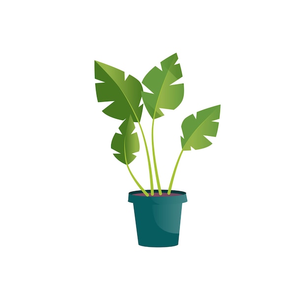 Vector flat cartoon home plant in pot isolated on empty background-house furniture,room interior elements concept,web site banner ad design