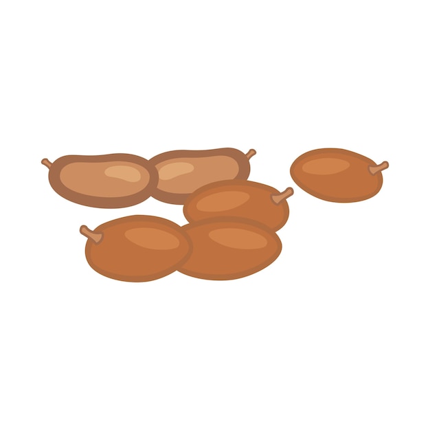 Vector flat design of a sapodilla fruit on a white background