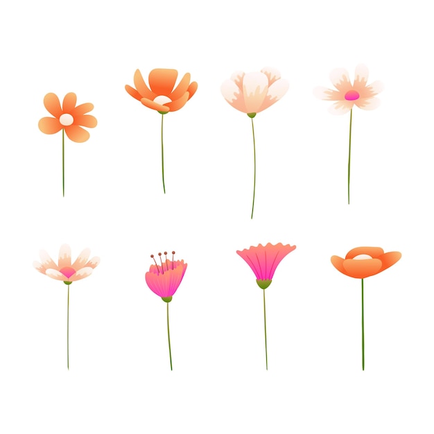 Vector flat design spring flower collection