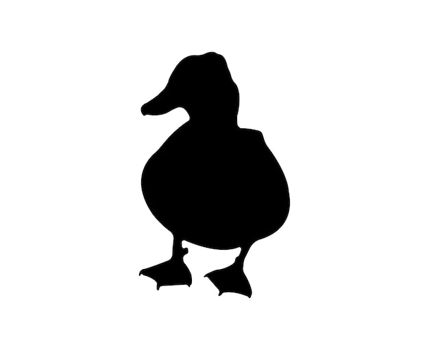 Vector flat duck silhouette isolated on white background