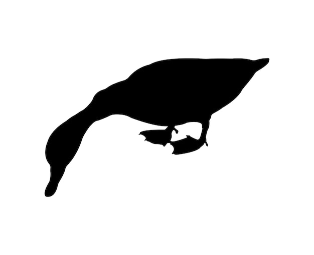 Vector flat duck silhouette isolated on white background