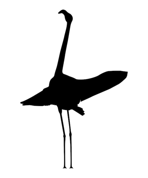 Vector flat flamingo silhouette isolated on white background