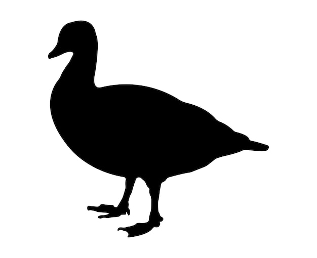 Vector flat goose silhouette isolated on white background