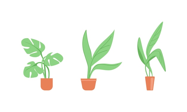 Vector flat houseplant collection