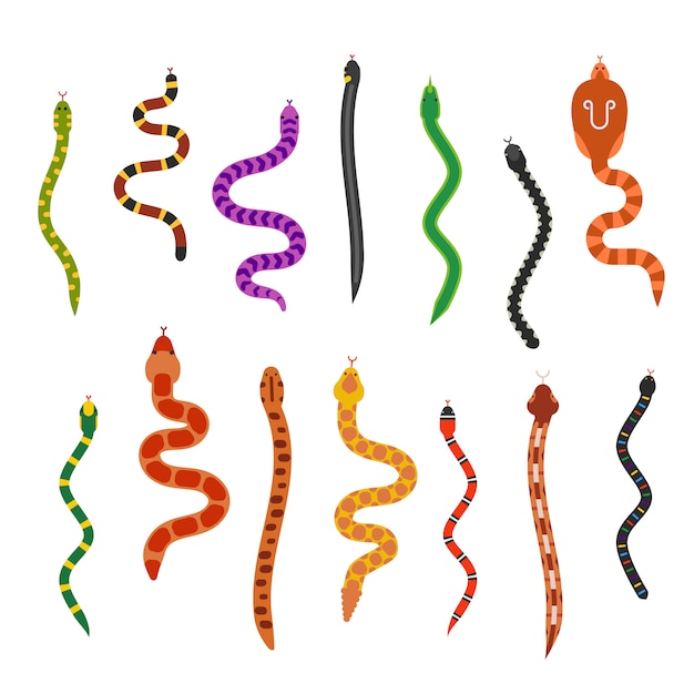 Vector flat snakes collection isolated on white background