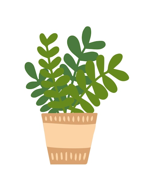 Vector flat style home plant in pot Vector houseplant with leaves in ceramic pot isolated