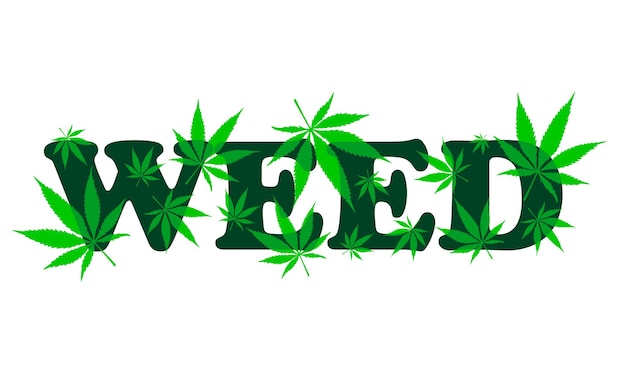 vector flat word weed with green cannabis leaf pattern logo for marijuana lovers