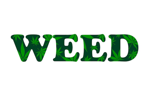 vector flat word weed with green cannabis leaf pattern logo for marijuana