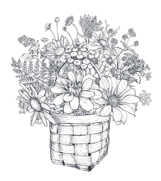 Vector floral composition with black and white hand drawn herbs and wildflowers