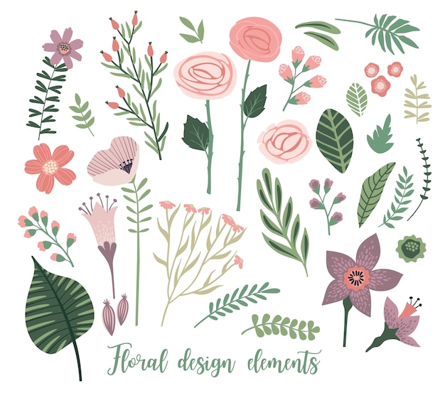 Vector floral design elements